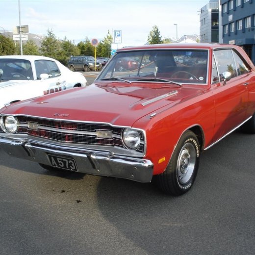 crop-24.06.2009_017__large_