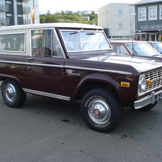 crop-24.06.2009_018__large_