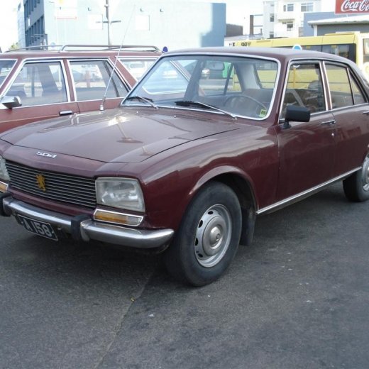 crop-24.06.2009_020__large_