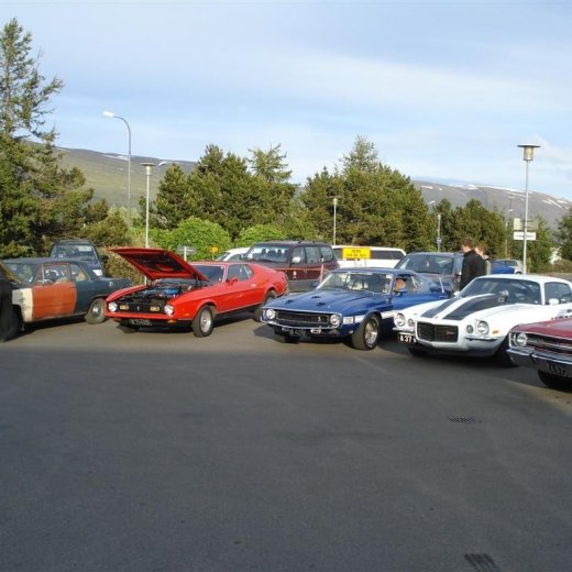 crop-24.06.2009_021__large_