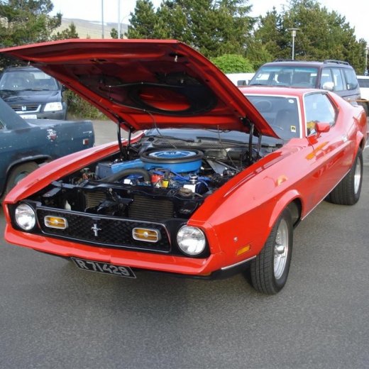 crop-24.06.2009_022__large_