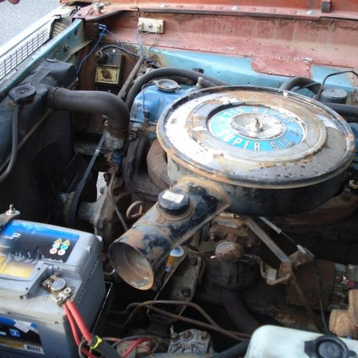 crop-24.06.2009_023__large_