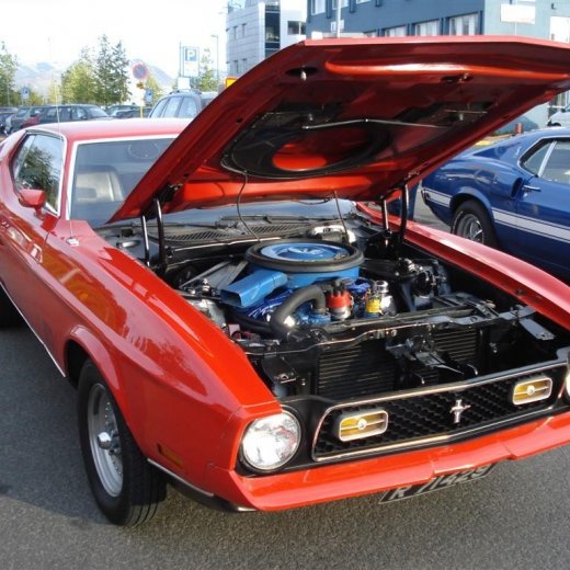 crop-24.06.2009_025__large_