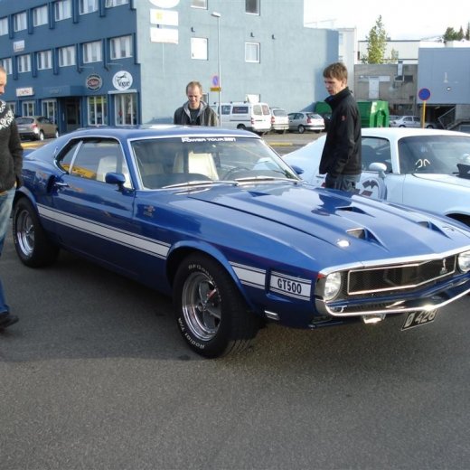 crop-24.06.2009_026__large_