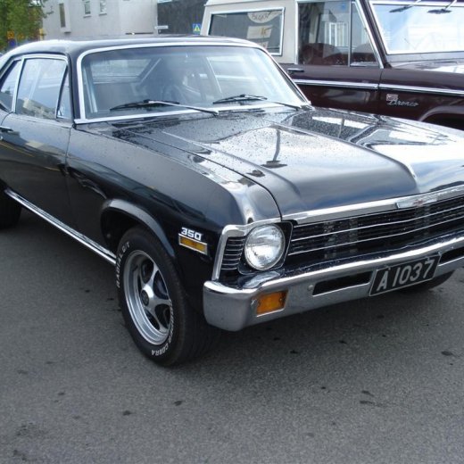 crop-24.06.2009_028__large_