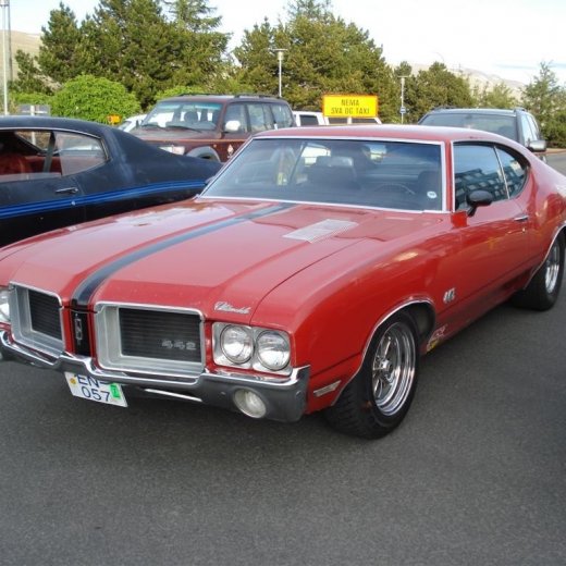 crop-24.06.2009_031__large_