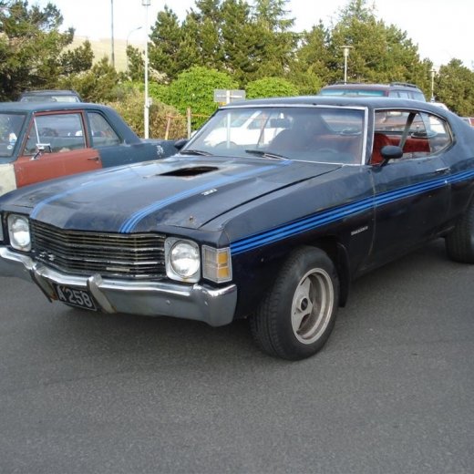 crop-24.06.2009_032__large_