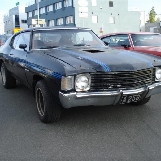 crop-24.06.2009_034__large_