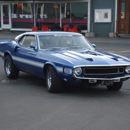 crop-24.06.2009_035__large_