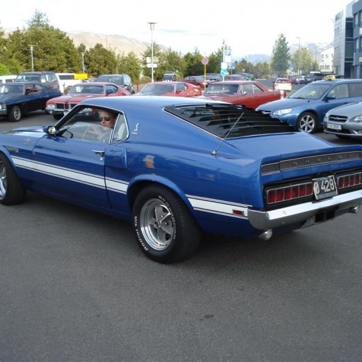 crop-24.06.2009_036__large_