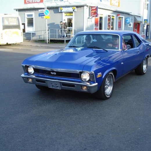 crop-24.06.2009_040__large_