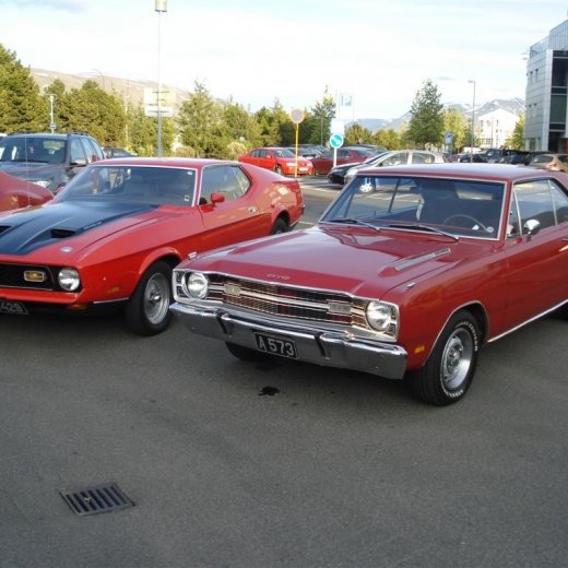 crop-24.06.2009_042__large_