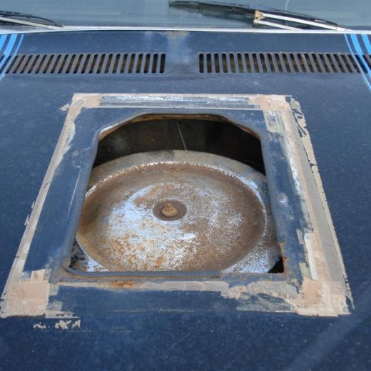 crop-24.06.2009_044__large_