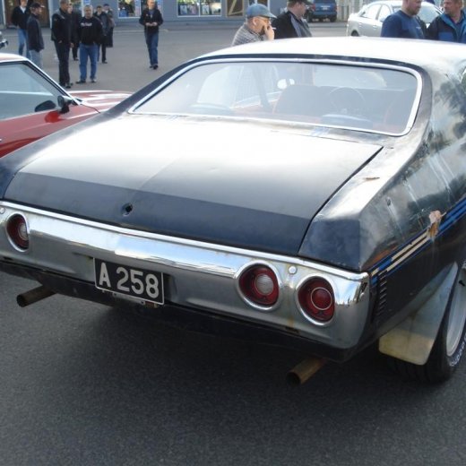 crop-24.06.2009_045__large_