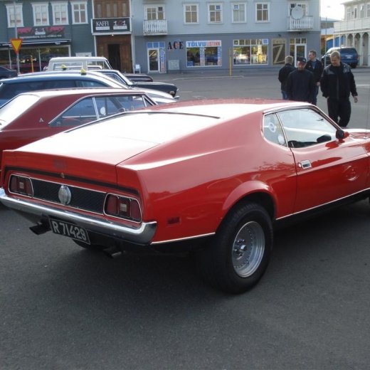 crop-24.06.2009_047__large_