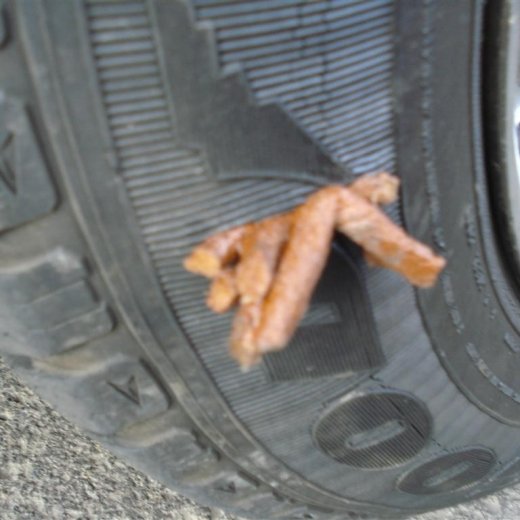 crop-24.06.2009_049__large_