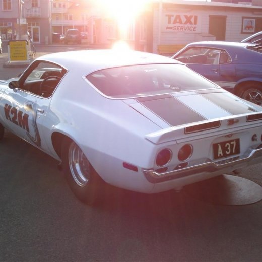 crop-24.06.2009_054__large_