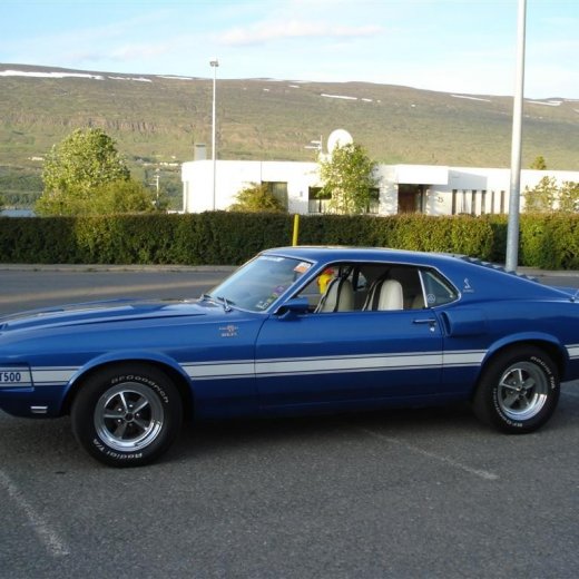 crop-24.06.2009_059__large_