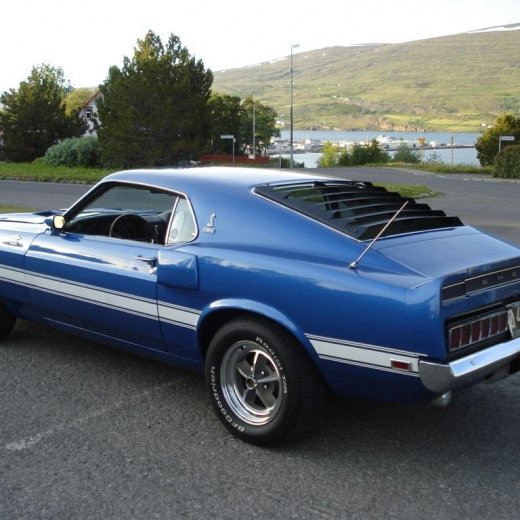 crop-24.06.2009_066__large_