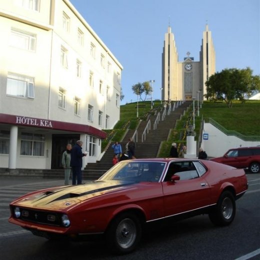 crop-24.06.2009_085__large_