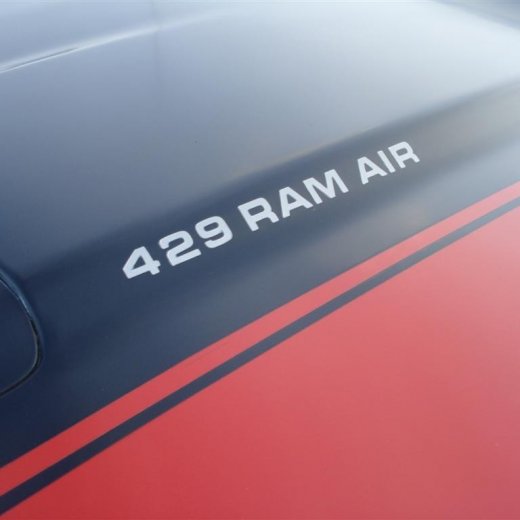 crop-24.06.2009_100__large_