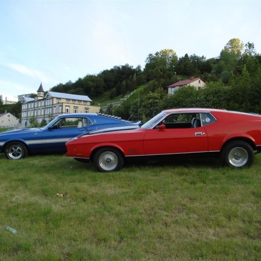 crop-24.06.2009_115__large_