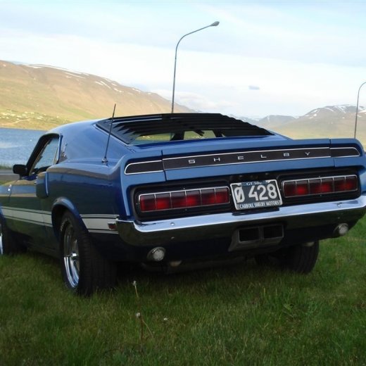 crop-24.06.2009_119__large_