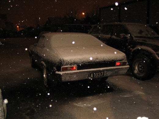 25.11.2009_016__large_