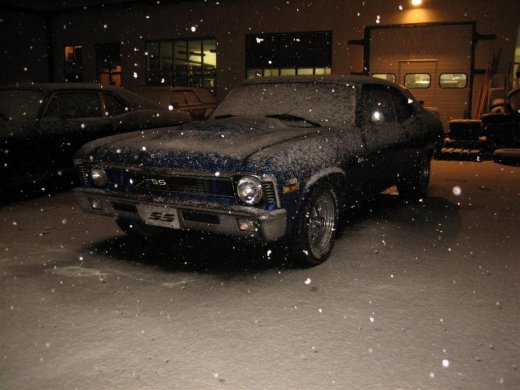 25.11.2009_017__large_