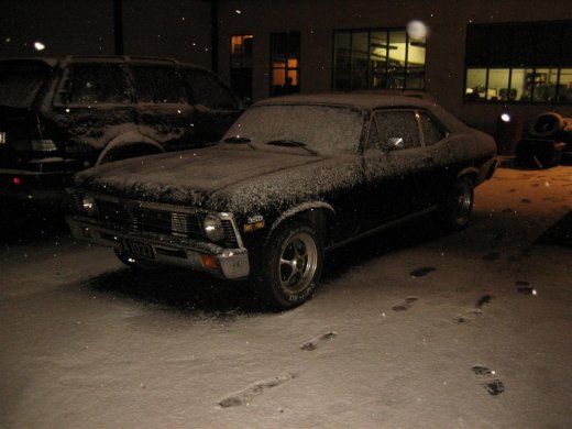 25.11.2009_018__large_