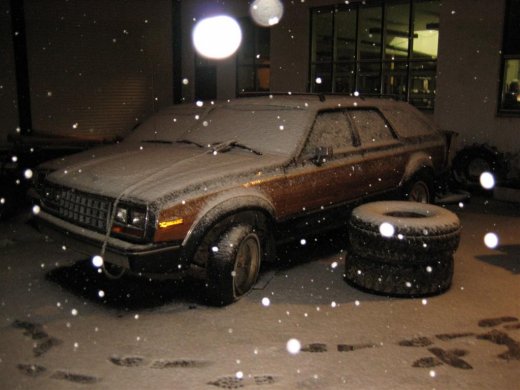 25.11.2009_020__large_