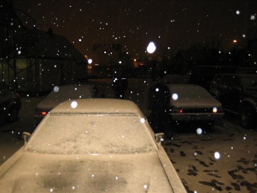 25.11.2009_021__large_