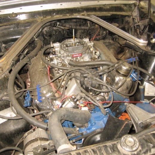 crop-25.11.2009_003__large_