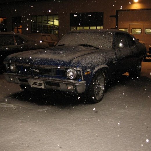 crop-25.11.2009_017__large_