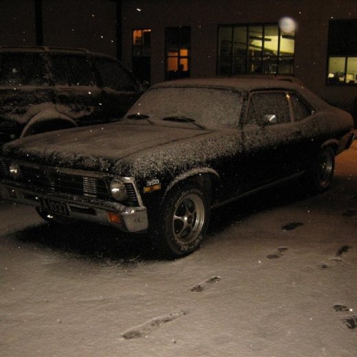 crop-25.11.2009_018__large_