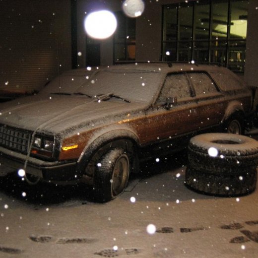 crop-25.11.2009_020__large_