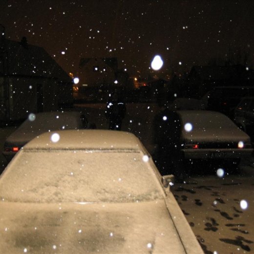 crop-25.11.2009_021__large_