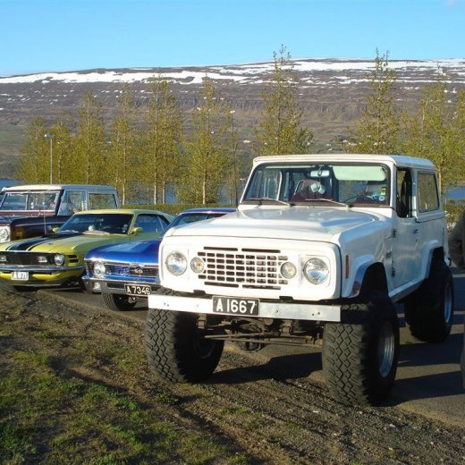 crop-27.mai.2009_013__large_