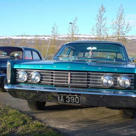 crop-27.mai.2009_017__large_