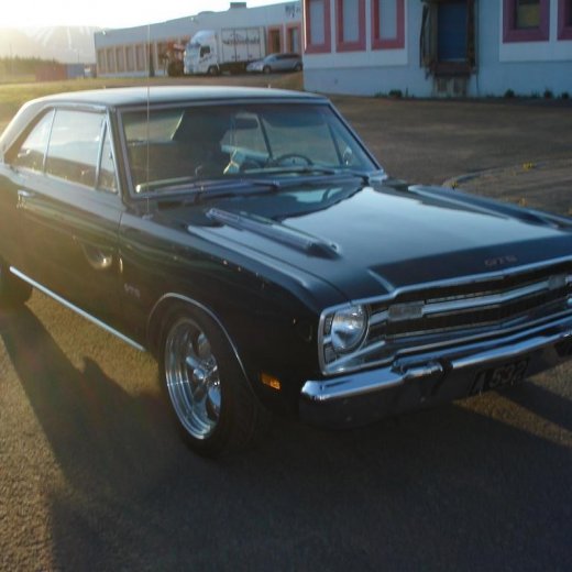 crop-27.mai.2009_022__large_