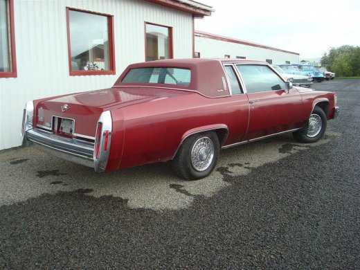 29.08.2009_021__large_