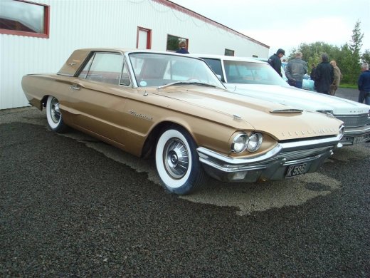 29.08.2009_025__large_