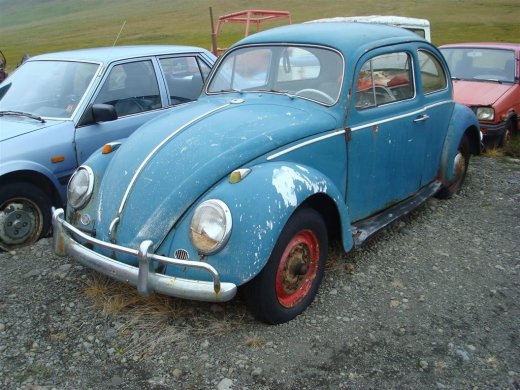 29.08.2009_120__large_