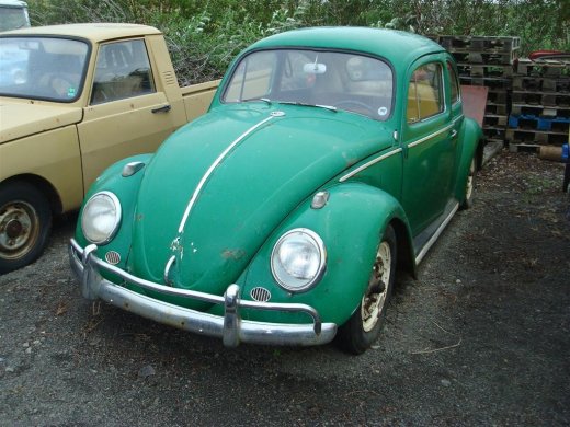 29.08.2009_136__large_