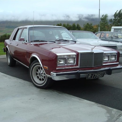 crop-29.08.2009_001__large_