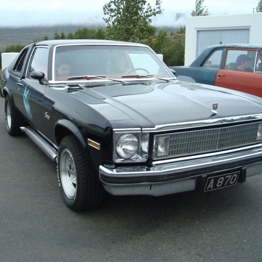 crop-29.08.2009_007__large_