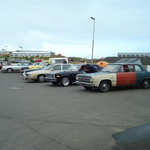 crop-29.08.2009_009__large_