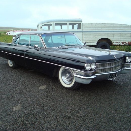 crop-29.08.2009_024__large_