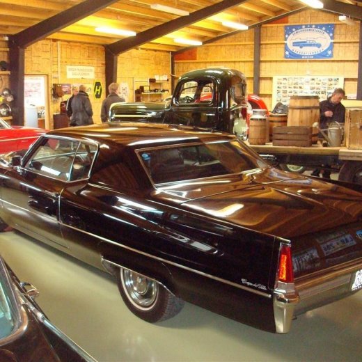 crop-29.08.2009_073__large_