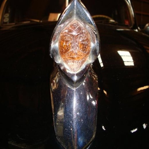 crop-29.08.2009_075__large_